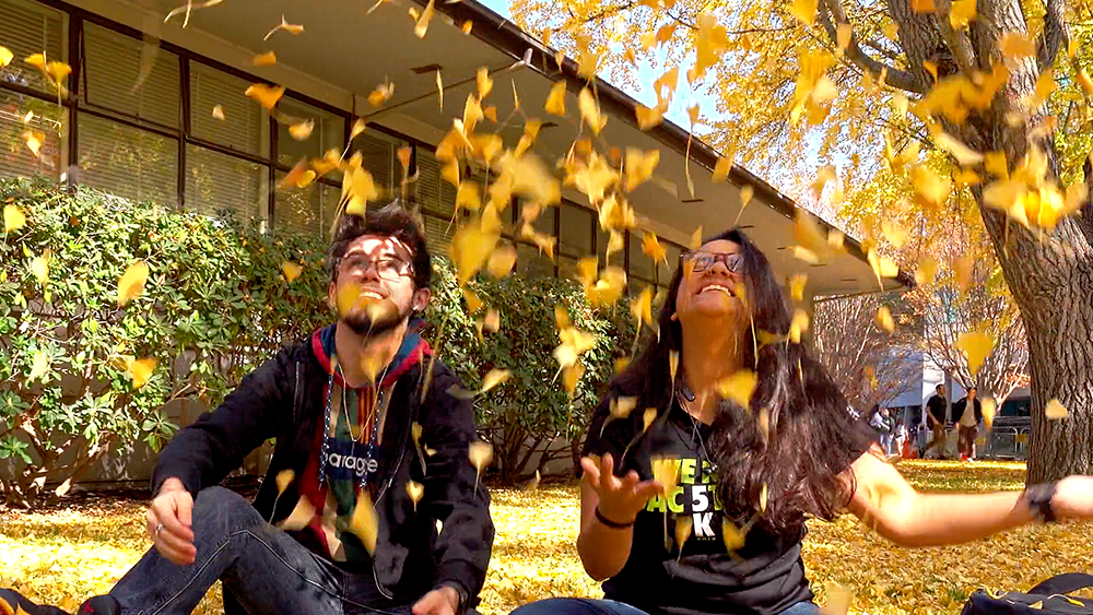 Happy Holidays from the Hornet Family