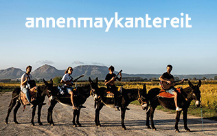 Image with missing alt attribute found on fansale.de