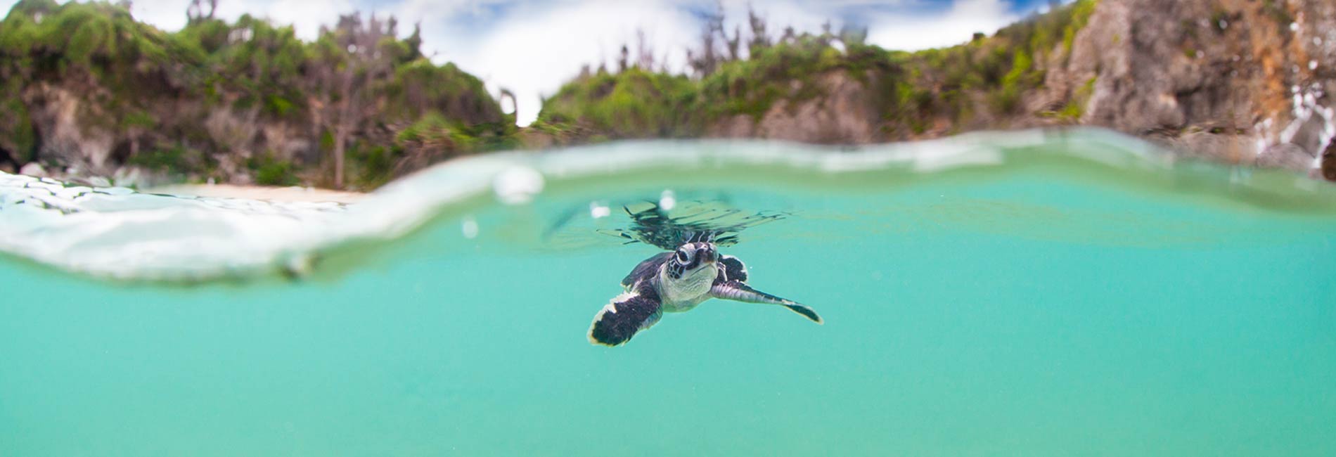 Image with missing alt attribute found on journeymexico.com