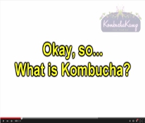 Image with missing alt attribute found on kombuchakamp.com