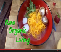 Image with missing alt attribute found on kombuchakamp.com