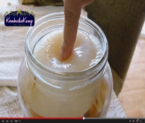 Image with missing alt attribute found on kombuchakamp.com