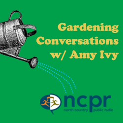 Image with missing alt attribute found on northcountrypublicradio.org