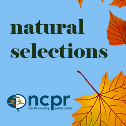 Image with missing alt attribute found on northcountrypublicradio.org