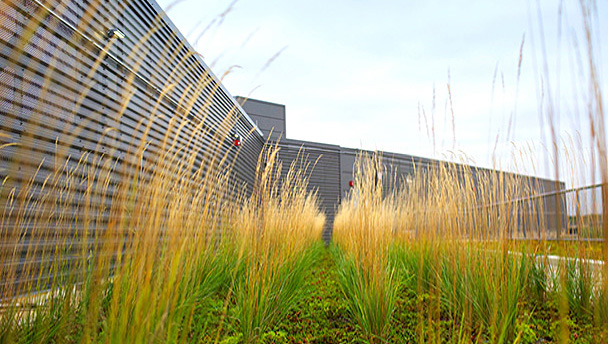 Image with missing alt attribute found on nrgenergy.com