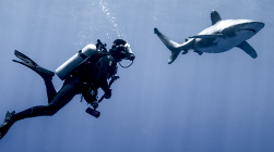 Image with missing alt attribute found on oris.ch