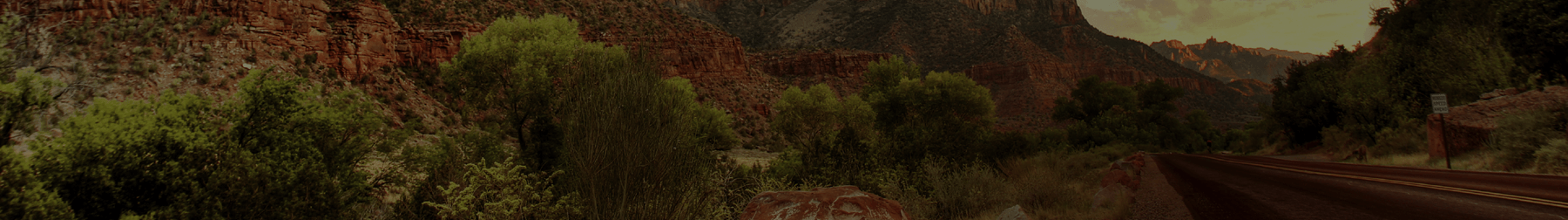 Image with missing alt attribute found on proagentwebsites.com