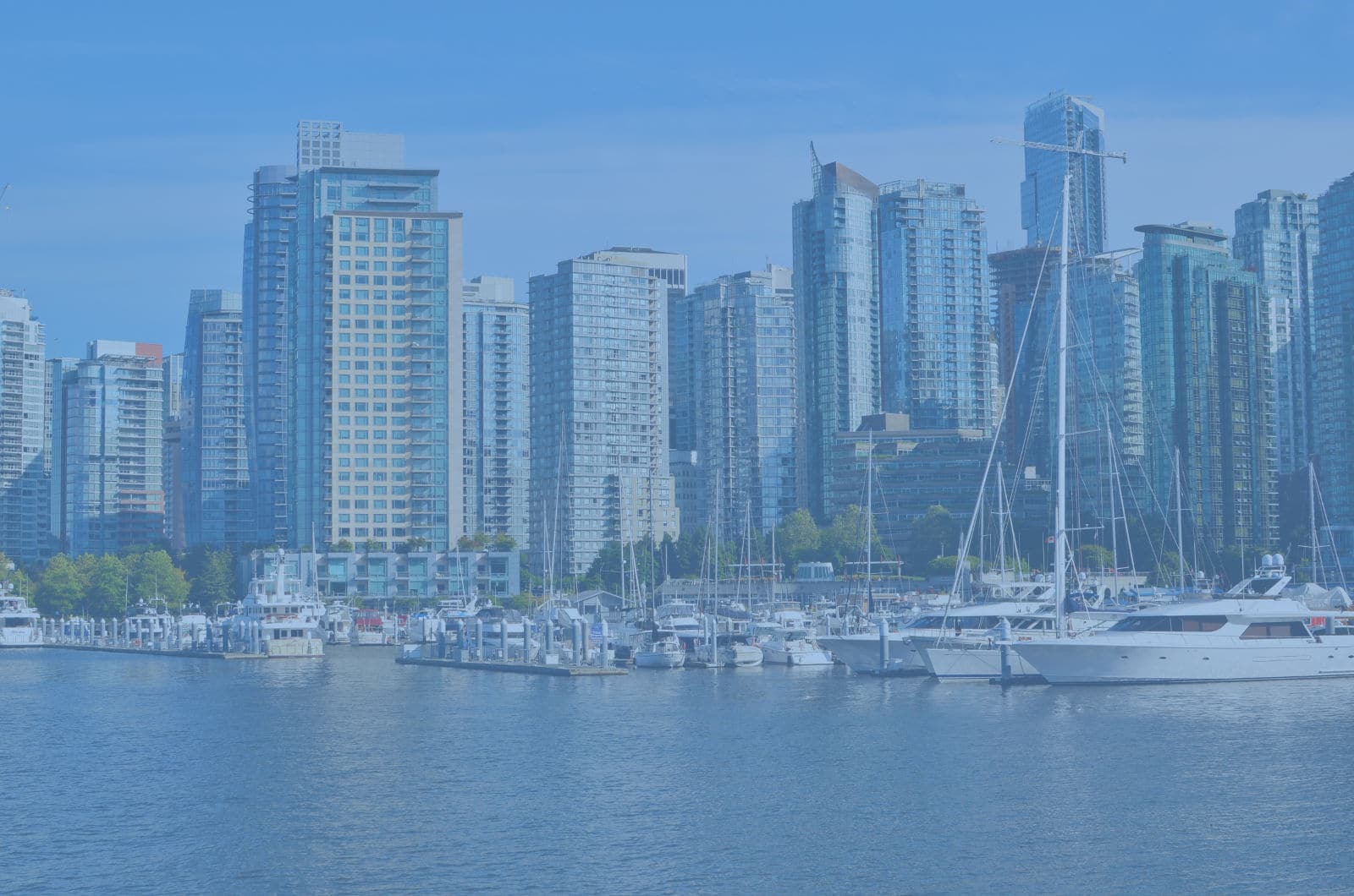 Image with missing alt attribute found on propertymetrics.com