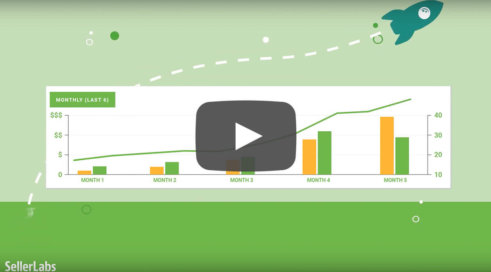 Image with missing alt attribute found on sellerlabs.com