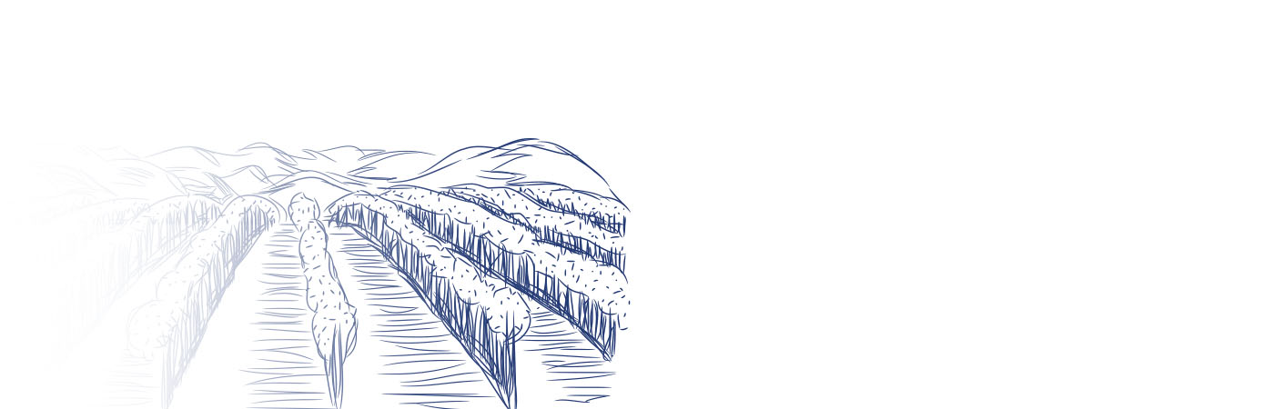 Image with missing alt attribute found on softcom.net