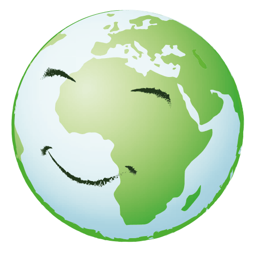 Image with missing alt attribute found on solisart.fr