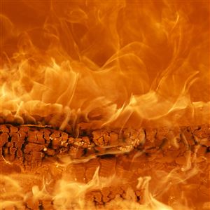 Image with missing alt attribute found on toledoblade.com