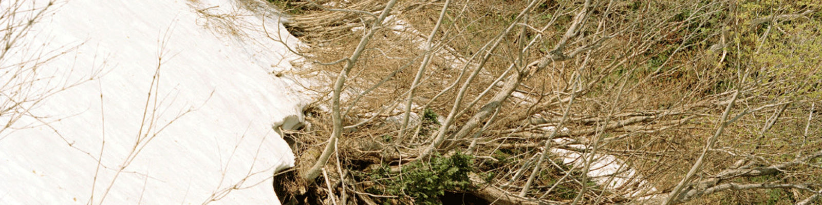 Image with missing alt attribute found on oneblockdown.it