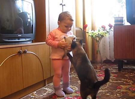 Image with missing alt attribute found on 1000mg.jp