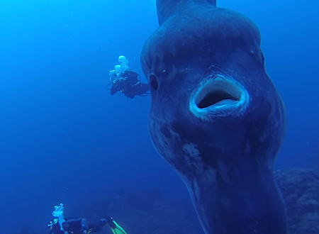 Image with missing alt attribute found on 1000mg.jp