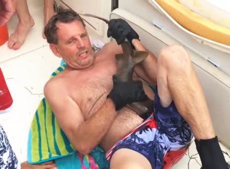 Image with missing alt attribute found on 1000mg.jp