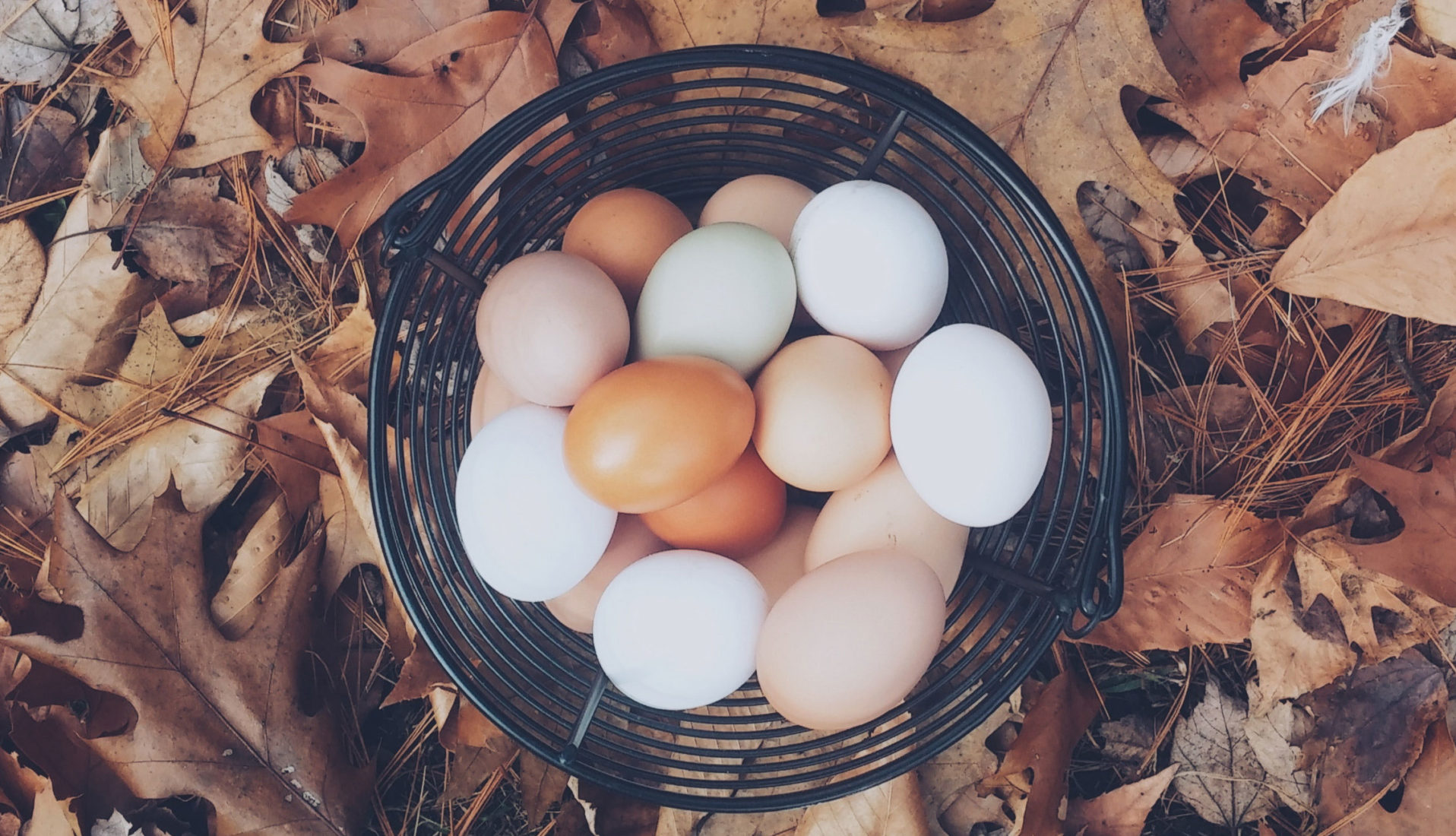 Image with missing alt attribute found on additionplus.com