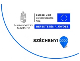 Elektronikus Ügyint&eacute;z&eacute;si Port&aacute;l