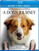 Image with missing alt attribute found on bitru.org