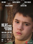 Image with missing alt attribute found on bitru.org