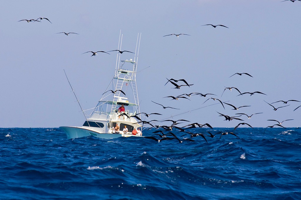 Image with missing alt attribute found on buoyweather.com