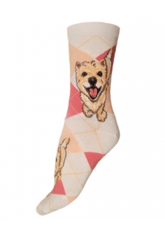 Image with missing alt attribute found on clobber.com.ua