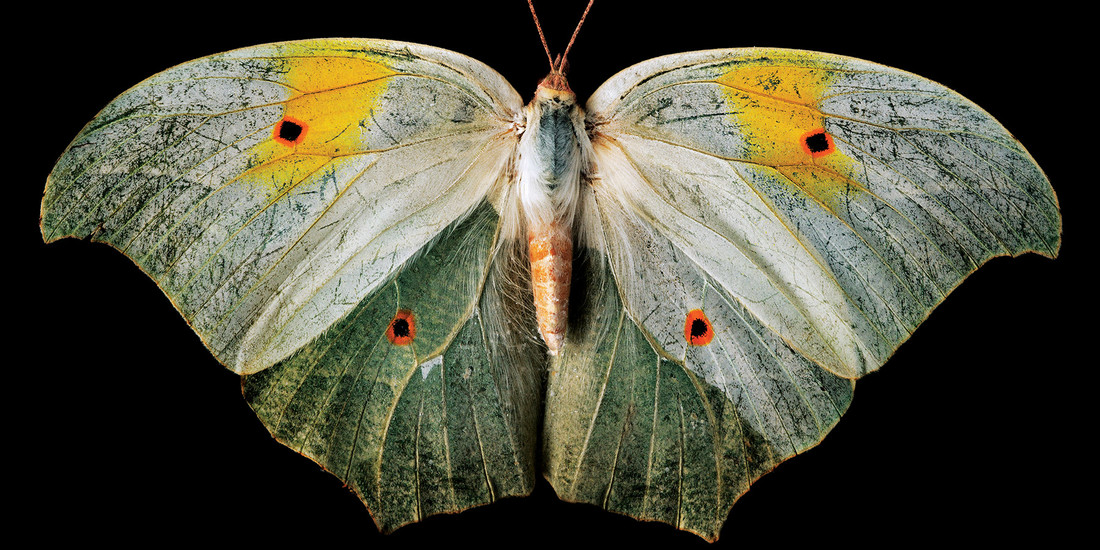 Image with missing alt attribute found on artcenter.edu