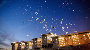 Image with missing alt attribute found on creativetime.org