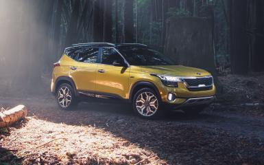 Image with missing alt attribute found on 1freewallpapers.com