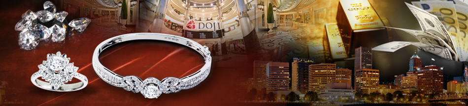 Lĩnh vực hoạt động