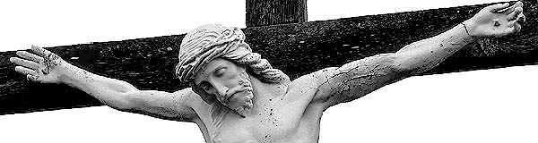 Image with missing alt attribute found on drbo.org