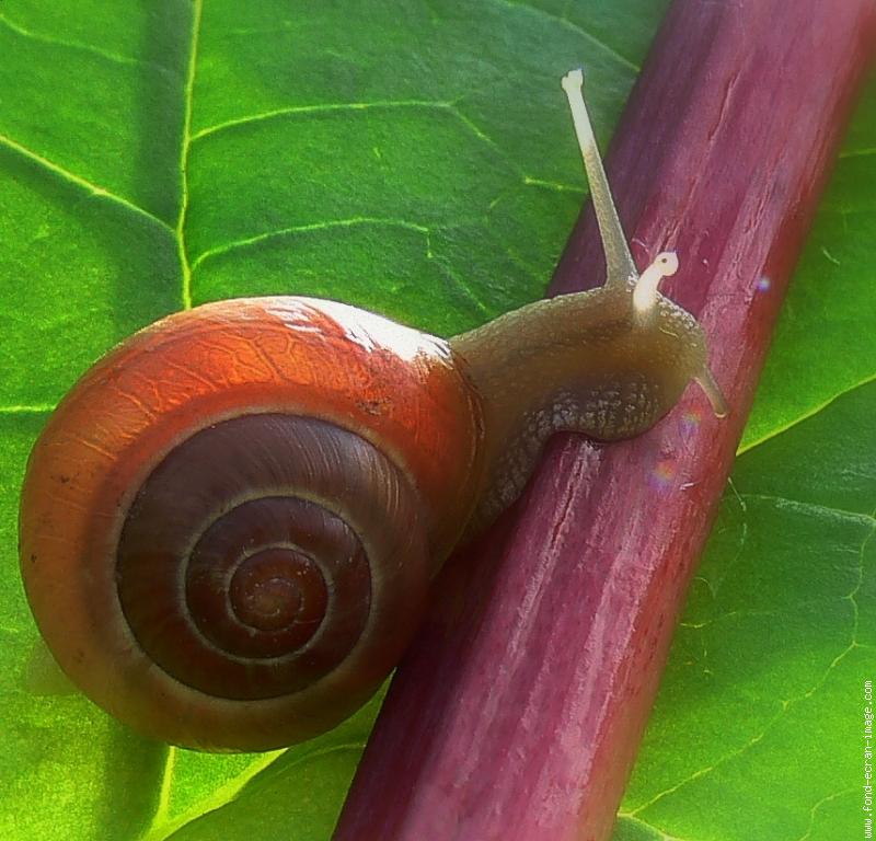 Image with missing alt attribute found on editions-rhubarbe.com