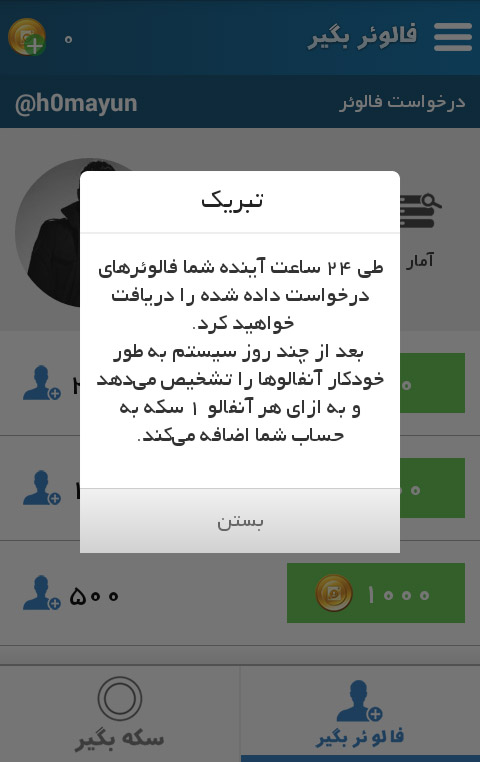 Image with missing alt attribute found on followerbeg.ir