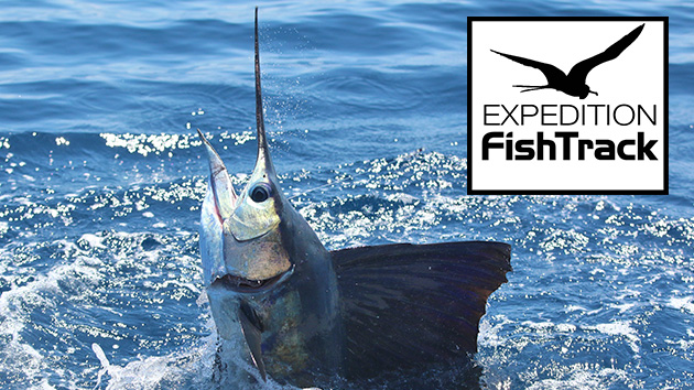 Image with missing alt attribute found on fishtrack.com