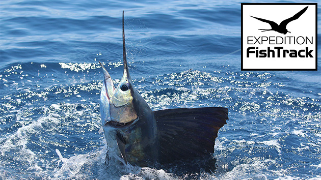 Image with missing alt attribute found on fishtrack.com