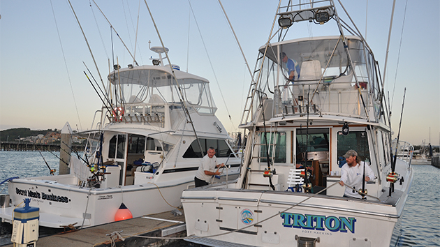 Image with missing alt attribute found on fishtrack.com