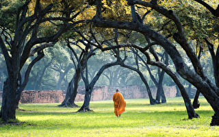 Image with missing alt attribute found on dajiyuan.com