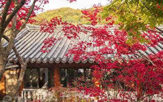 Image with missing alt attribute found on dajiyuan.com