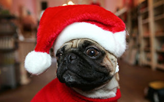 Image with missing alt attribute found on epochtimes.com