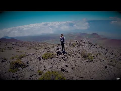 Image with missing alt attribute found on dailyword.com