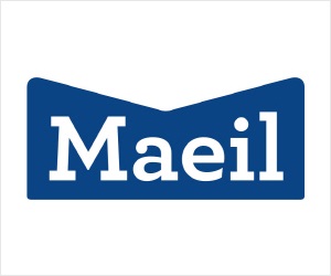 Image with missing alt attribute found on dizzotv.com