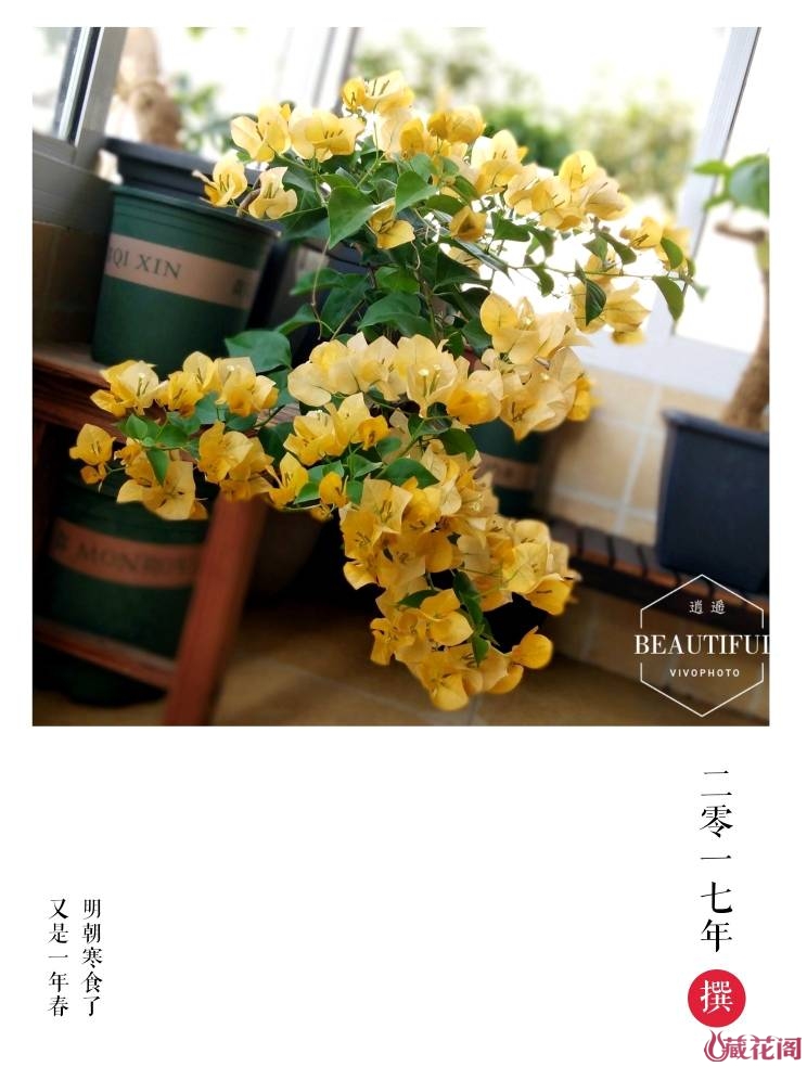 Image with missing alt attribute found on mychg.org