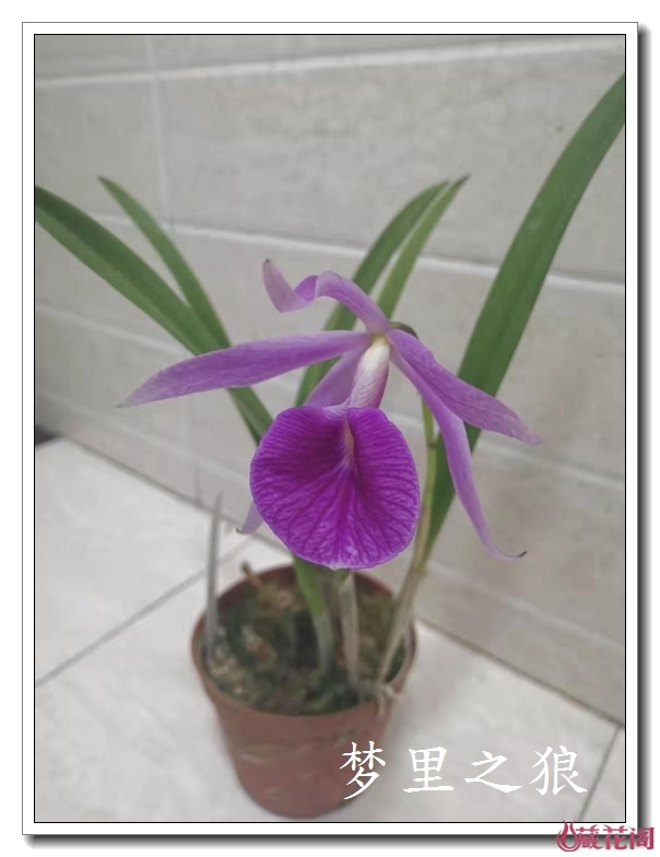 Image with missing alt attribute found on mychg.org