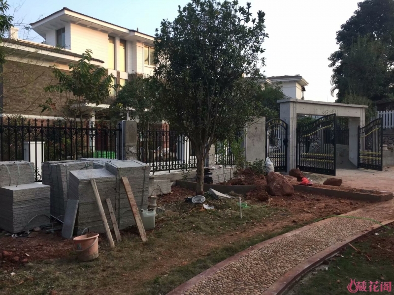 Image with missing alt attribute found on mychg.org