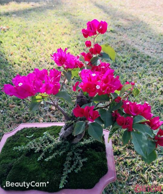 Image with missing alt attribute found on mychg.org