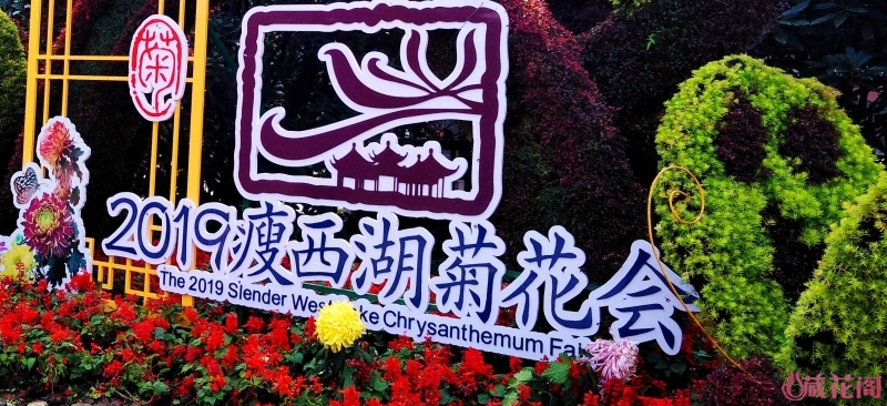 Image with missing alt attribute found on mychg.org