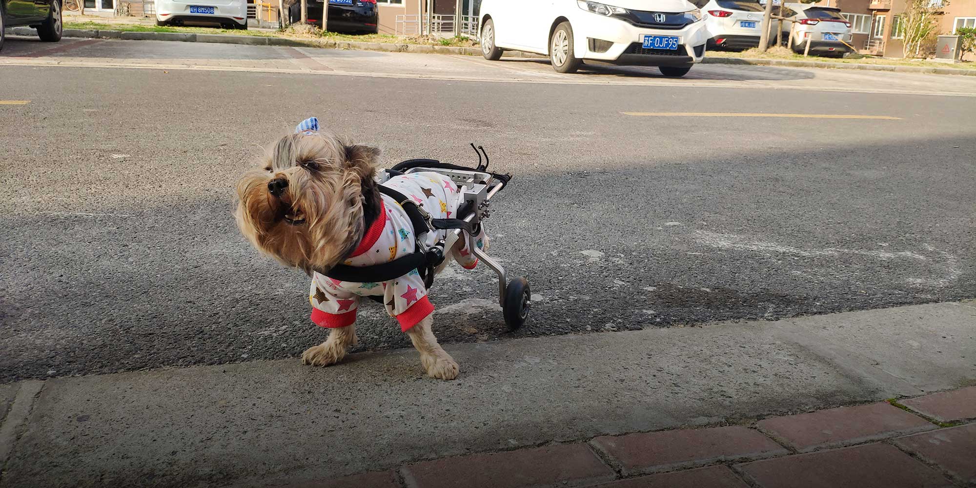 Image with missing alt attribute found on sixthtone.com