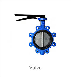 VALVE