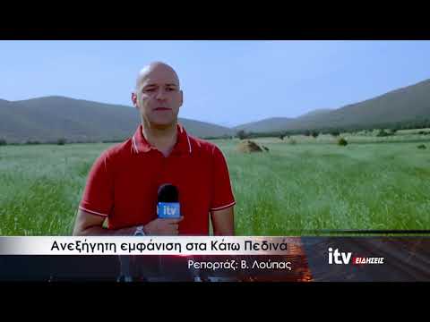 Image with missing alt attribute found on ioanninatv.gr