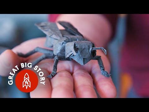 NASA Physicist s Incredible Origami